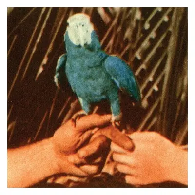 Andrew Bird - Are You Serious (LP)