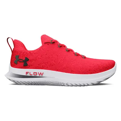 Baskets Under Armour W Velociti Red EUR