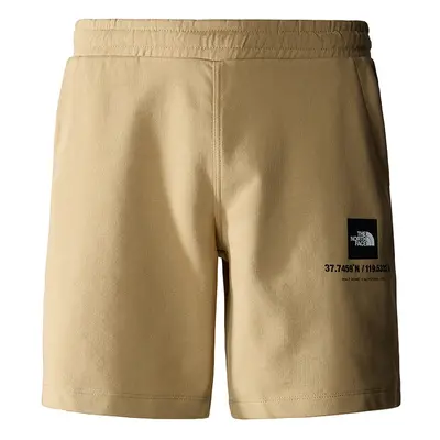 The North Face Coordinates Shorts