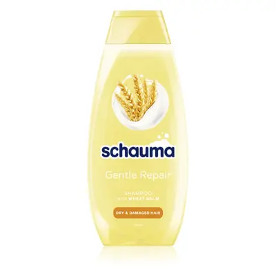 Schwarzkopf Schauma Gentle Repair Shampoing soin doux pour cheveux secs et abîmés