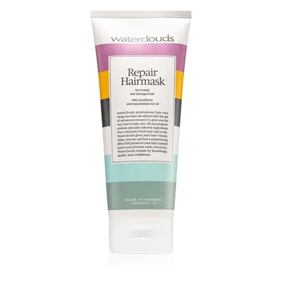 Waterclouds Repair Hairmask masque hydratant régénérant cheveux