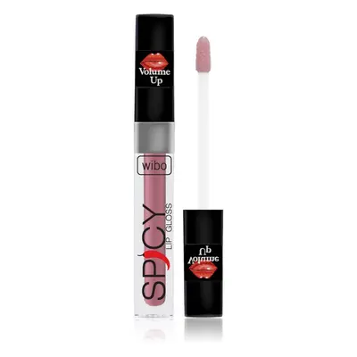 Wibo Lip Gloss Spicy brillant à lèvres volumisant