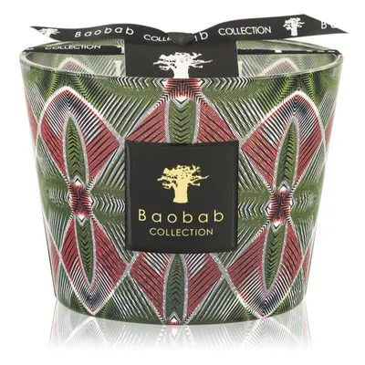 Baobab Collection Maxi Wax Malia bougie parfumée