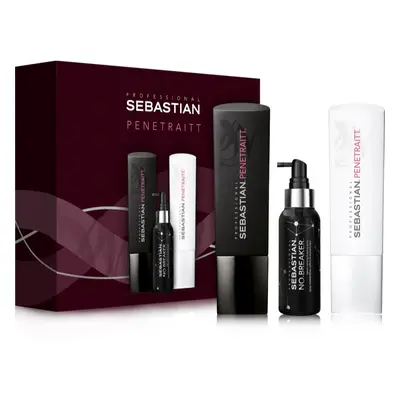 Sebastian Professional Penetraitt coffret cadeau pour cheveux abîmés et traités chimiquement