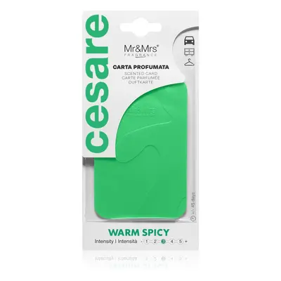 Mr & Mrs Fragrance Cesare Warm Spicy Accroche-porte parfumé