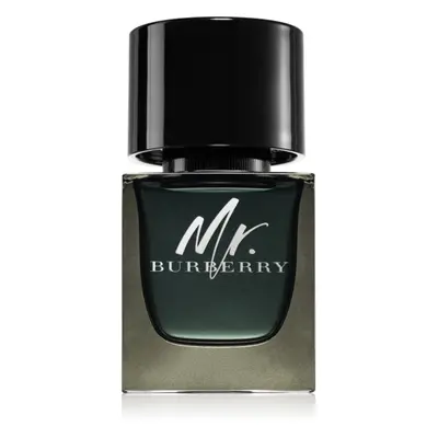 Burberry Mr. Burberry Eau de Parfum pour homme