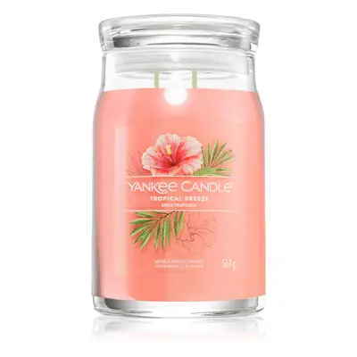 Yankee Candle Tropical Breeze bougie parfumée Signature