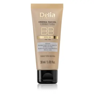 Delia Cosmetics BB crème teintée visage SPF teinte Light