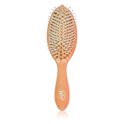 Wet Brush Go Green Treatment And Shine brosse pour des cheveux brillants et doux Watermelon Oil