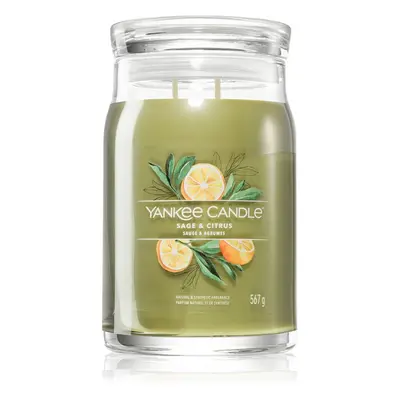 Yankee Candle Sage & Citrus bougie parfumée Signature Signature