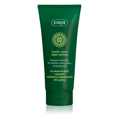 Ziaja Mineral shampoing antipelliculaire