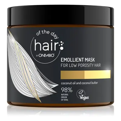 OnlyBio Hair Of The Day masque hydratant pour de beaux cheveux sains