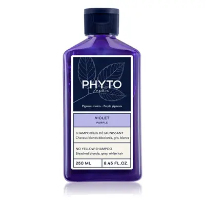 Phyto Violet shampoing colorant pour cheveux blonds et méchés