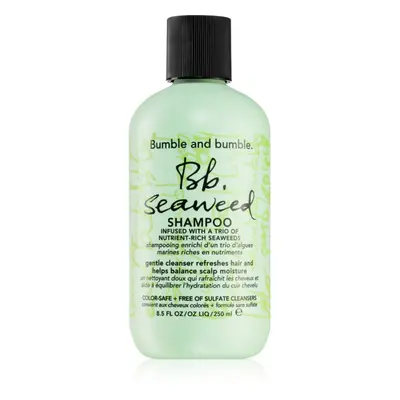 Bumble and bumble Seaweed Shampoo shampoing pour cheveux bouclés aux extraits d'algues marines