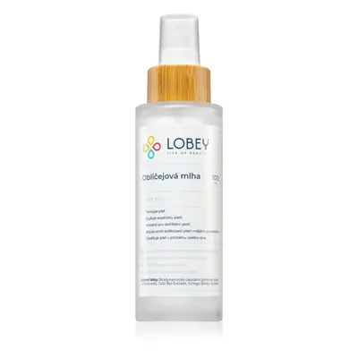 Lobey Skin Care Obličejová Mlha brume tonifiante visage