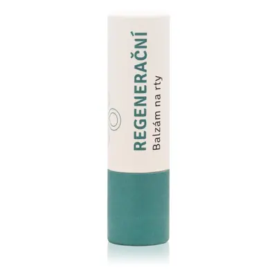 Lobey Skin Care Lip Balm baume à lèvres régénérant