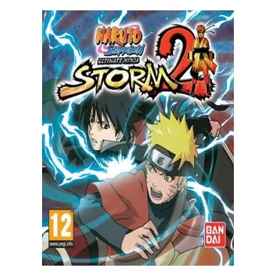 NARUTO SHIPPUDEN: Ultimate Ninja STORM 2 Steam CD Key