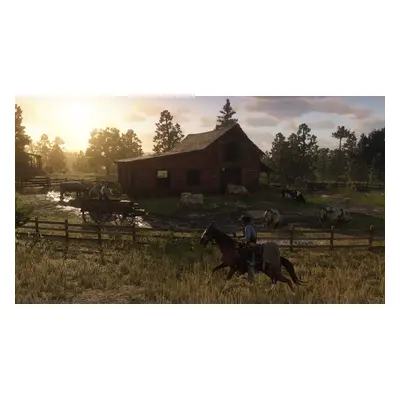 Red Dead Redemption 2 Standard Edition Steam Account Junao Pick-up Site