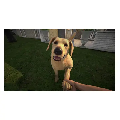 Pets Hotel Steam CD Key