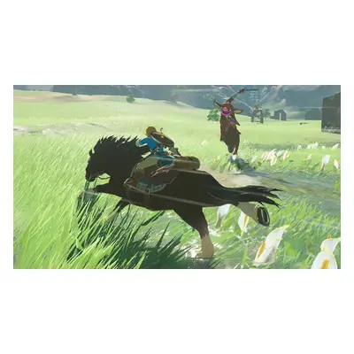 The Legend of Zelda: Breath of the Wild Nintendo Switch Account Pick-up Site