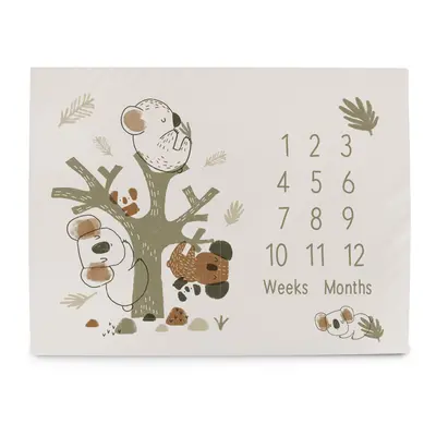 Tapis photo CEBA Milestone (92x72) Basic Koala