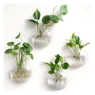 TEMU Pièces/4 Pièces/6 Pièces Tenture Murale Terrariums En Verre Planteur Vase À Fleurs Plantes 