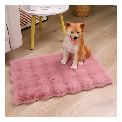 TEMU Coussin Chaud pour Animaux de Compagnie, Coussin pour Chat et Chien