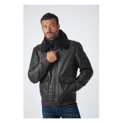 Curtiss Marron Marron Foncé 56/2xl - Blouson Aviateur Homme