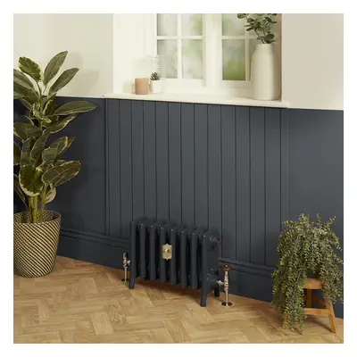 Radiateur fonte - H  35.7 cm x L 27,1 cm x P 17,5 cm - 4 rangs de colonnes  - Railings 31 de Far