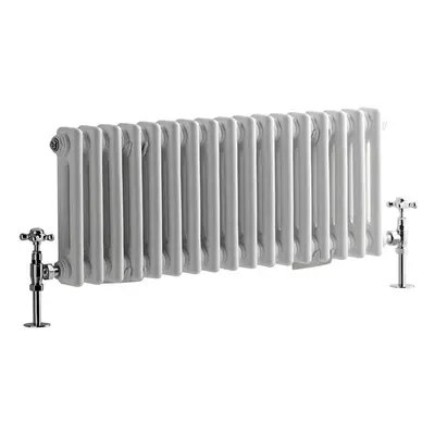 Radiateur Style Fonte Acier Blanc - Pose Murale - 30 x 70.6cm 541 Watts