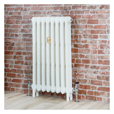 Radiateur fonte - H 66cm x L 26,3cm x P 10,1cm - Triple rangs - Blanc porcelaine - Mercury