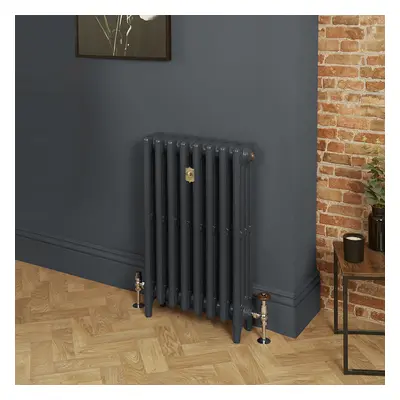 Radiateur fonte - H  96 cm x L 26,3 cm x P 14 cm - 4 rangs de colonnes  - Railings 31 de Farrow 