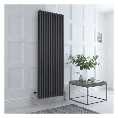 Radiateur Style Fonte Vertical Anthracite – 180 x 65cm – Triple Rangs – Windsor