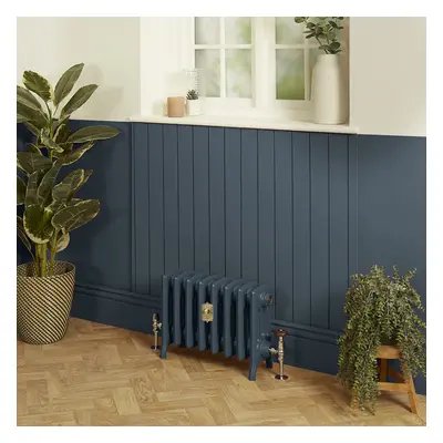 Radiateur fonte - H  35.7 cm x L 27,1 cm x P 17,5 cm - 4 rangs de colonnes  - Hague Blue 30 de F