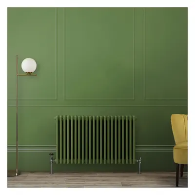 Radiateur horizontal style fonte - 60 cm x  42,5 cm - Vert (Fern Green) - Triple rang - Windsor