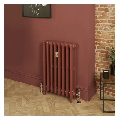 Radiateur fonte - H  96 cm x L 26,3 cm x P 14 cm - 4 rangs de colonnes  - Eating Room Red 43 de 