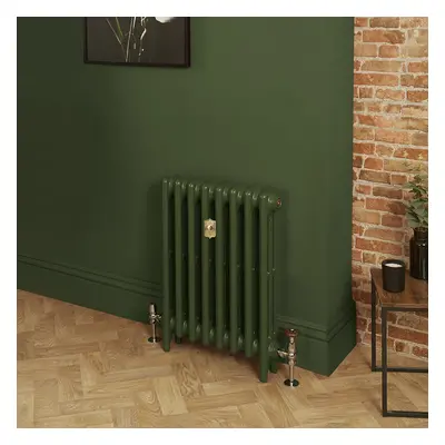 Radiateur fonte - H  66 cm x L 26,3 cm x P 10,1 cm - Triple rangs  - Duck Green W55 de Farrow & 