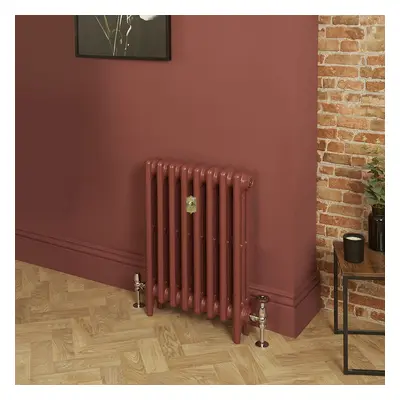 Radiateur fonte - H  66 cm x L 32,1 cm x P 10,1 cm - Triple rangs  - Eating Room Red 43 de Farro