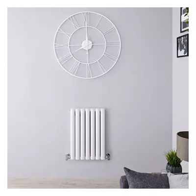 60 x 41cm - Petit Radiateur Aluminium - Design Horizontal Blanc - Eau