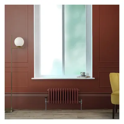 Radiateur style fonte horizontal – Double rang – 30 cm x 60,5 cm – Rouge - 414 W - Rétro - Eau -