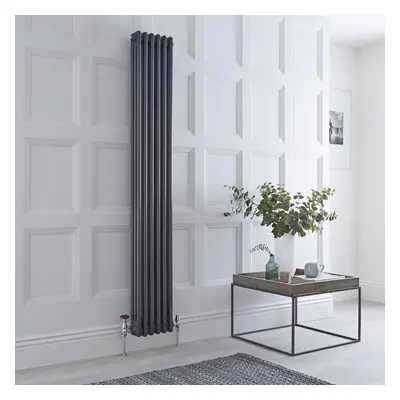 Radiateur style fonte rétro vertical – Anthracite - Triple rang – 180 x 29 cm - Avec pieds - Des