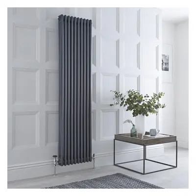 Radiateur style fonte rétro vertical – Anthracite - Triple rang – 180 x 47 cm - Avec pieds - Des