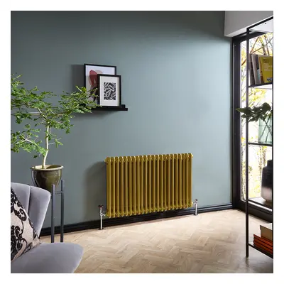 Radiateur Style Fonte Horizontal - Double rangs – Or Métallisé - Hudson Reed Windsor