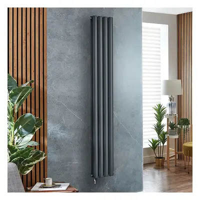 Radiateur design électrique vertical – Anthracite – 178 x 23,6 cm – Sans thermostat - 2 rang – C