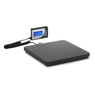 Balance plateforme - kg / 0,05 kg - x cm - avec écran LCD externe | Steinberg Systems