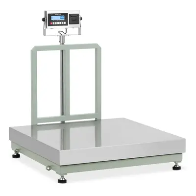 Balance plateforme - kg / 0,02 kg - x cm - avec imprimante d'étiquettes | Steinberg Systems