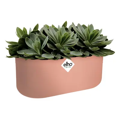 Jardinière ovale pot de fleurs Rose 27x13x14cm 3,7L