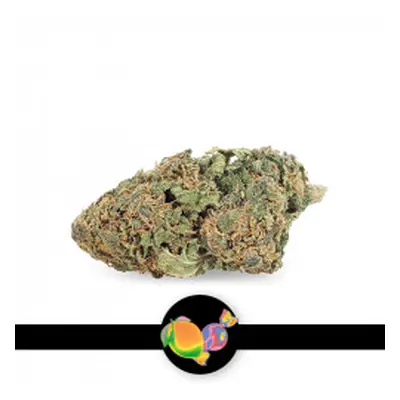 Fleur du moment taux minimum 12% CBD 10G - StreetShop Lab - Le Dispensaire : nos produits CBD en