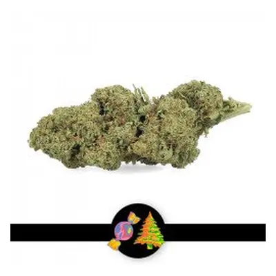 Fleur Green Crack 12% CBD - StreetShop Lab 7g - Le Dispensaire : nos produits CBD en vente