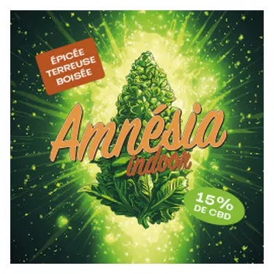 Fleur Amnesia Indoor 15% CBD - StreetShop Lab 10g - Le Dispensaire : nos produits CBD en vente